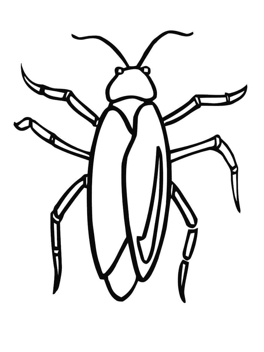 Easy Cockroach coloring page