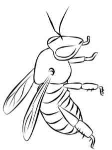 Wild Bee coloring page