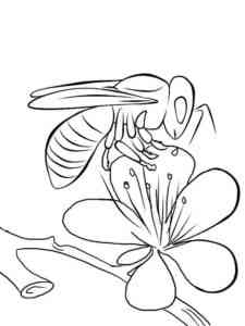Cute Bee coloring page