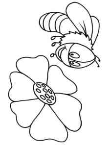 Bee rejoices at the flower coloring page