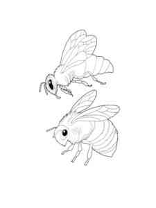 Two Bees coloring page