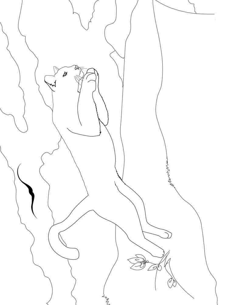 Jumping Cougar coloring page
