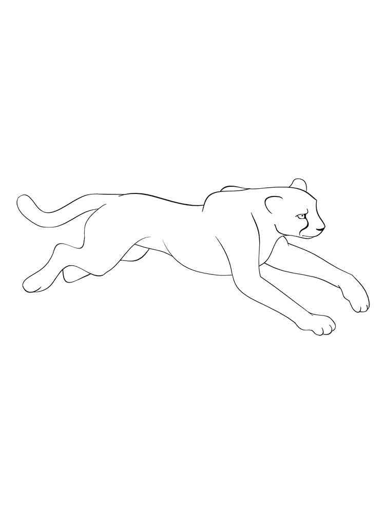 Simple Cougar coloring page