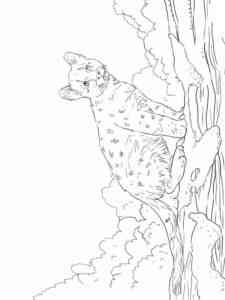 Cougar sitting on log coloring page