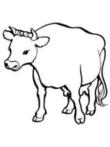 Angus Cow coloring page