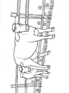Cow with calf coloring page