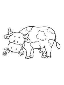 Cow eats flower coloring page