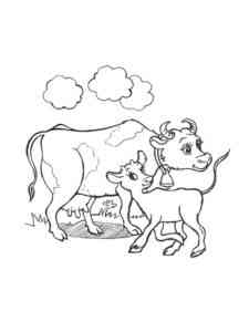 Cow with cub coloring page