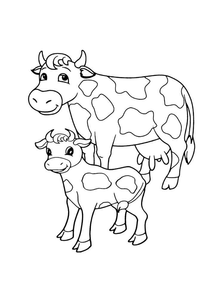 Cow and calf coloring page