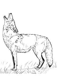 Howling Coyote coloring page