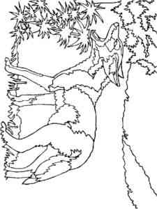 Coyotes howling at the moon coloring page