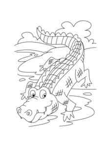 Cartoon Funny Crocodile coloring page