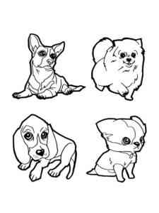 Cute Dogs coloring page