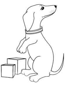 Dachshund with cubes coloring page
