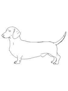 Simple Dachshund coloring page