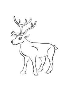 Deer coloring page for Kids