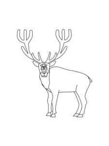 Funny Deer coloring page