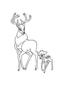 Deer with a cub coloring page