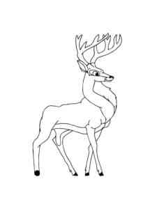 Mule Deer coloring page