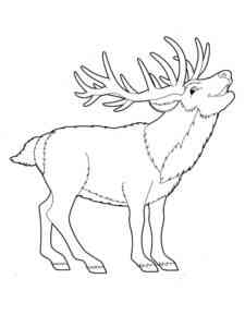 Happy Cartoon Deer coloring page