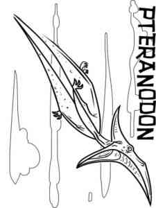 Pteranodon Dino coloring page