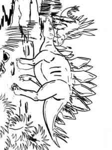 Stegosaurus Dinosaur coloring page