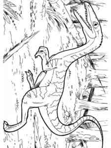 Coelophysis Dinosaur coloring page