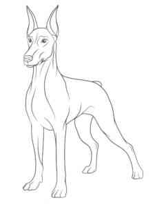 Easy Doberman coloring page