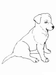 Realistic Puppy coloring page