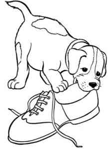 Puppy with shoe coloring page