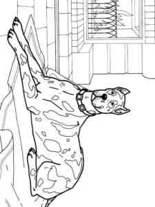Great Dane coloring page