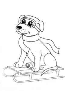 Dog on a sled coloring page