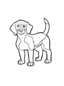 Spaniel Dog coloring page