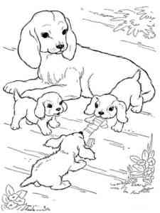 Dog with puppies coloring page