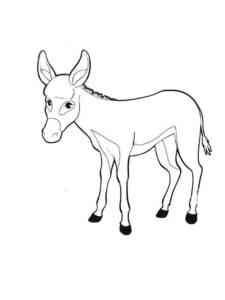 Easy Donkey 2 coloring page