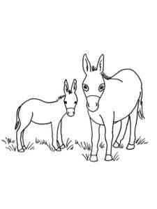 Two Donkeys coloring page