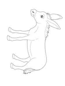 Simple Donkey 2 coloring page