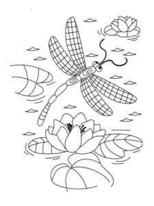 Dragonfly and water lilies coloring page
