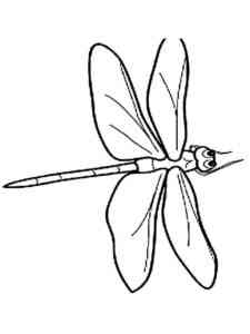 Dragonfly coloring page for Kids