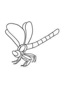 Easy Dragonfly coloring page