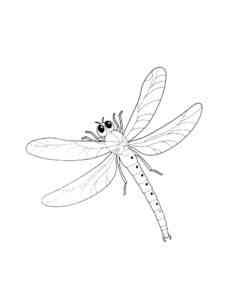 Simple Dragonfly coloring page