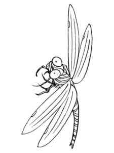 Scared Dragonfly coloring page