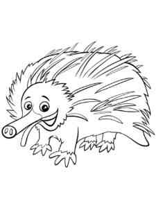 Funny Echidna coloring page