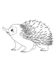 Cartoon Echidna coloring page