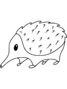 Easy Echidna coloring page