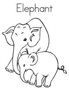 Elephant and cub coloring page