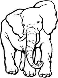 Asiatic elephant coloring page