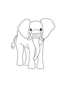 Realistic Elephant coloring page
