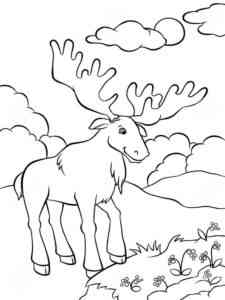 Wild Elk coloring page