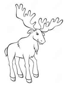 Male Elk coloring page